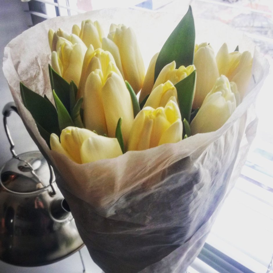 Букет тюльпанов для инстаграма