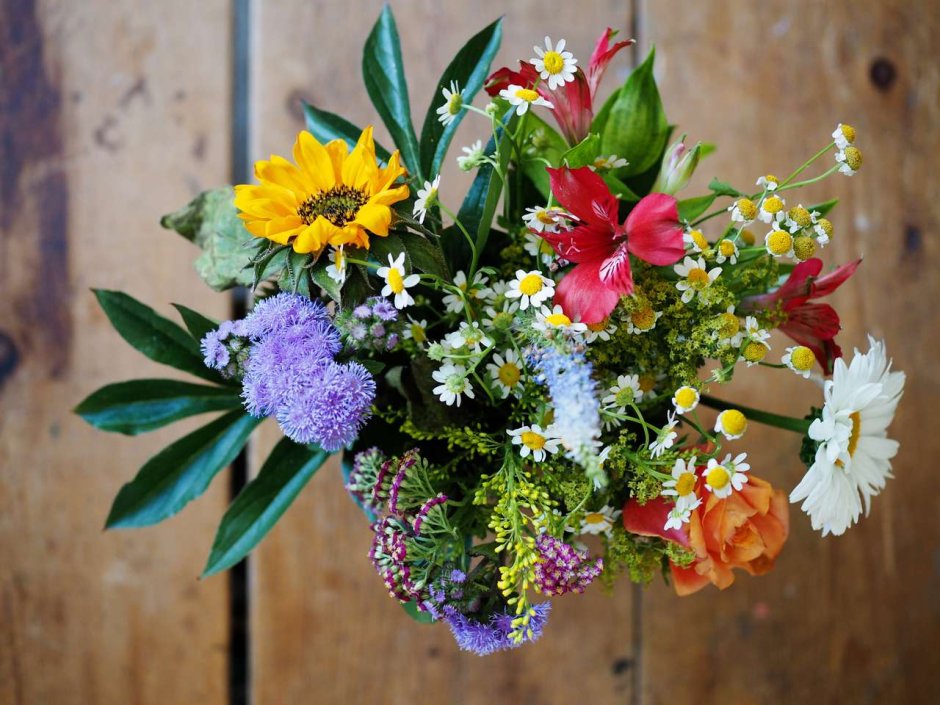 Цветы и растения для букета