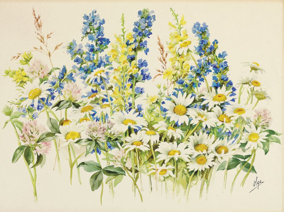 Букет полевых цветов акварель Великой княгини Ольги