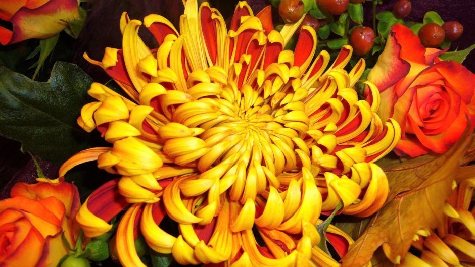 Хризантема индийская осенний букет