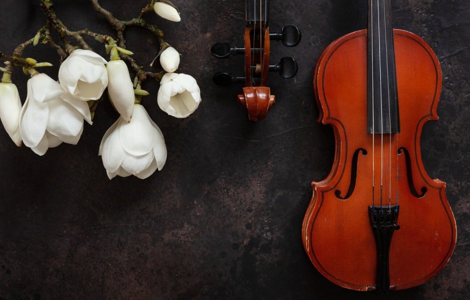 Скрипка в цветах
