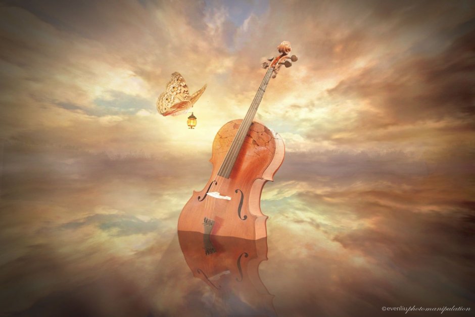 Скрипка и небо