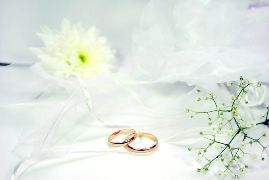 Свадебные кольца на фоне цветов