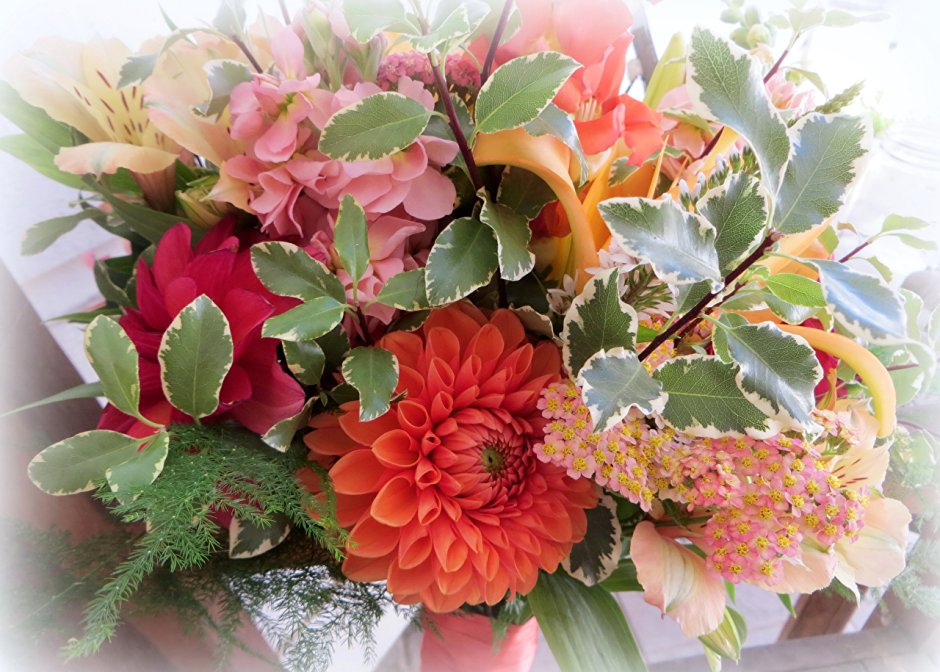 Букеты цветов георгинов