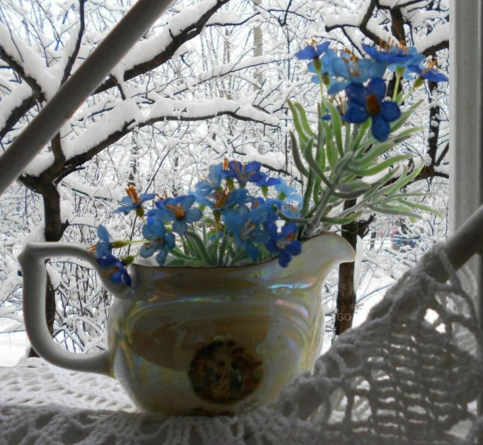 Цветы на зимнем окне