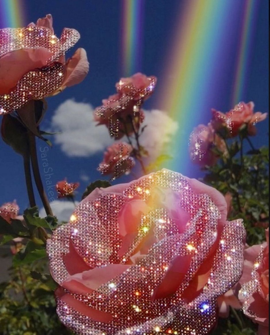 Цветы радуги