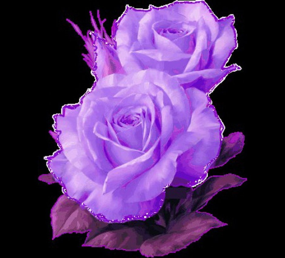 Фиолетовые розы с блестками