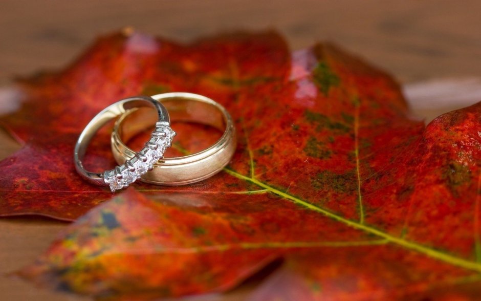 Осеннее кольцо