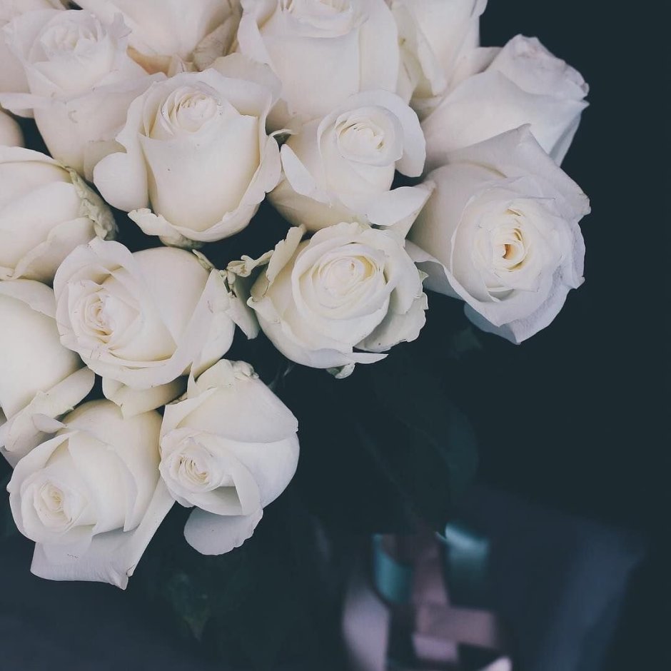 Мелкие белые розы