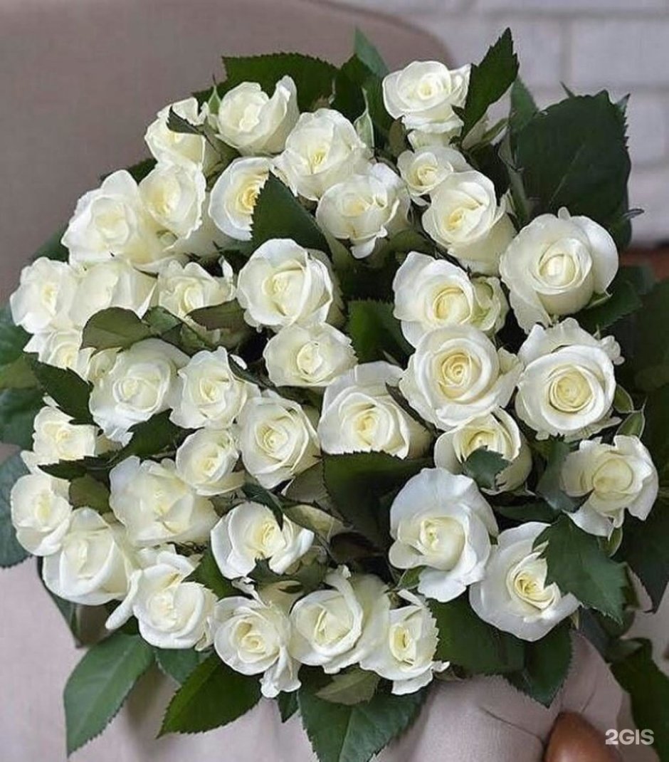 Букет из белых роз для девушки