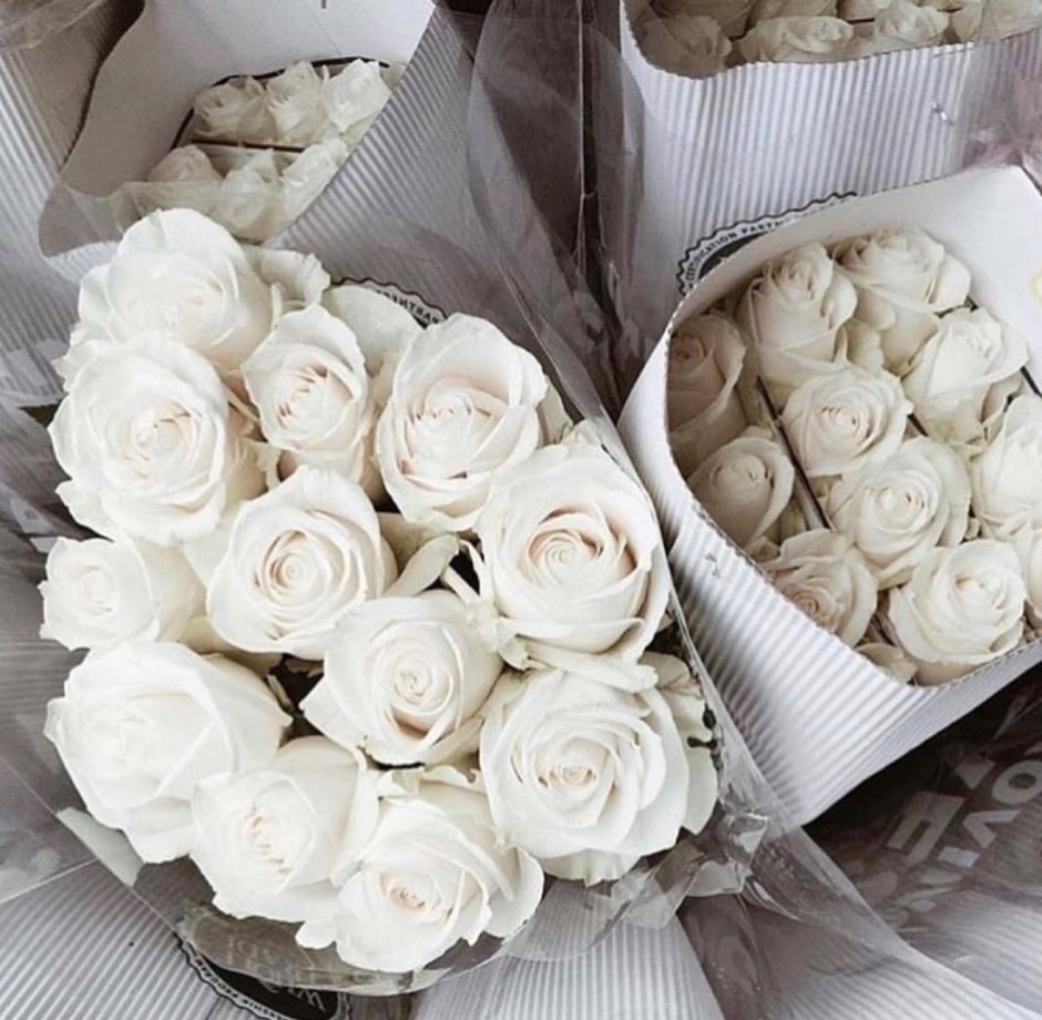 Букет цветов Инстаграмм белые розы