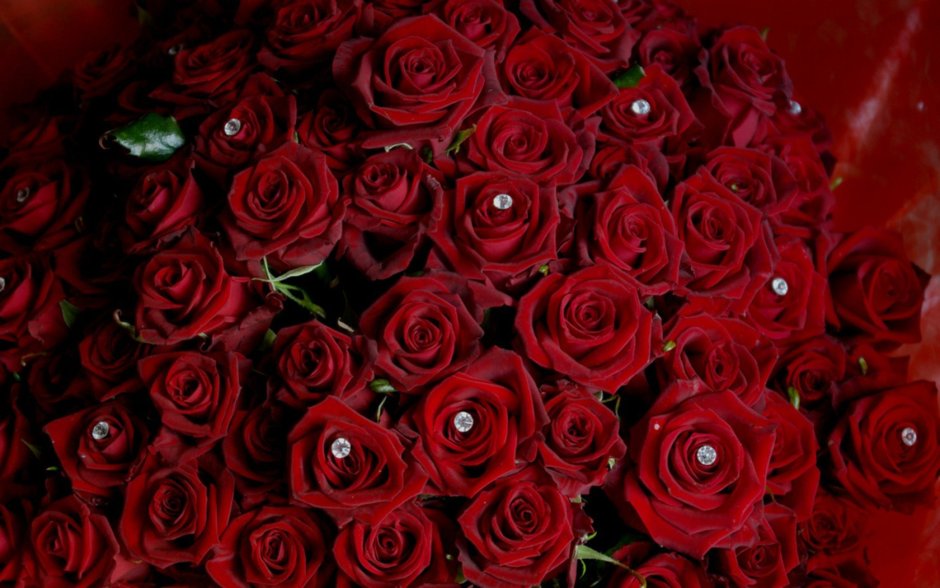 Букет «бордовая роза»
