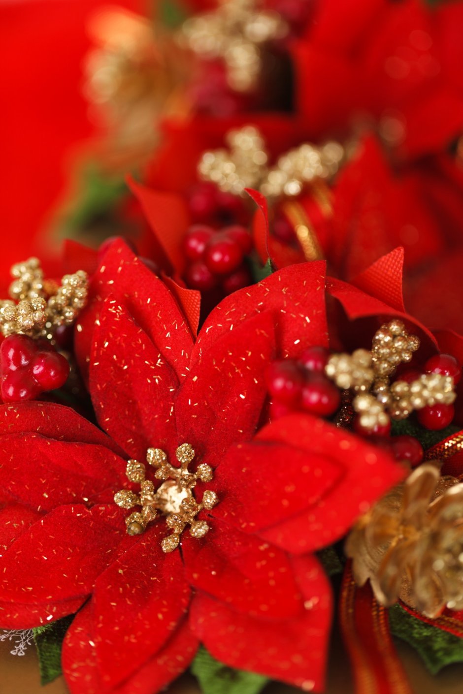 Рождественский цветок с красными