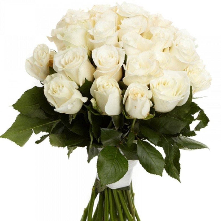 Букеты роз белых роз