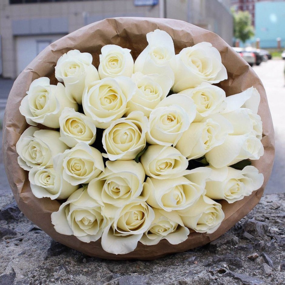 Эквадорские белые розы, 25 роз