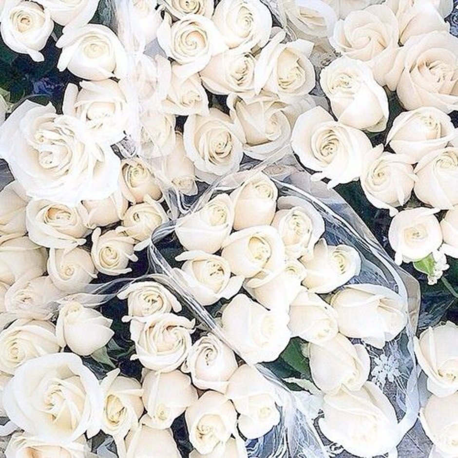 3 Белые розы