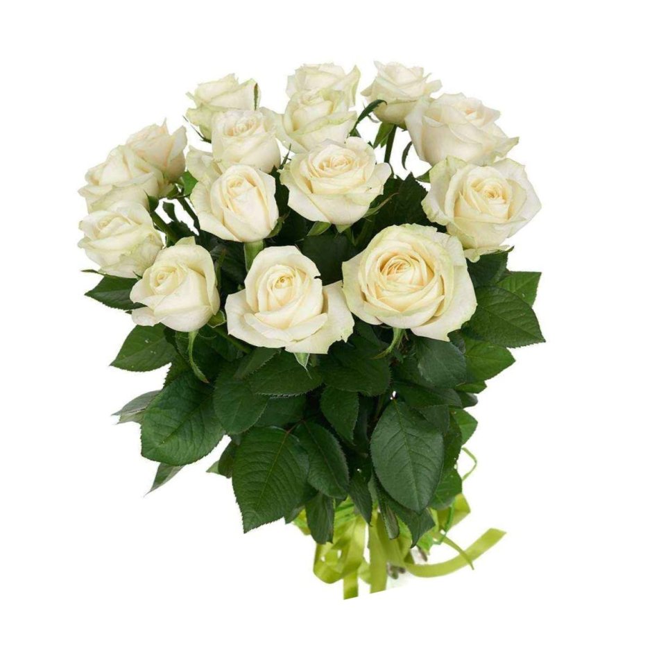 15 Белых роз Аваланч 50см