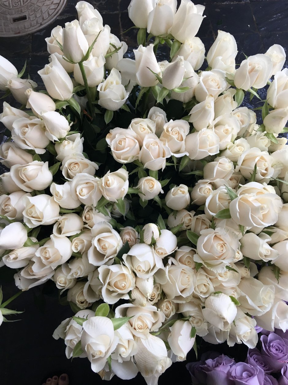 Маленькие белые розы