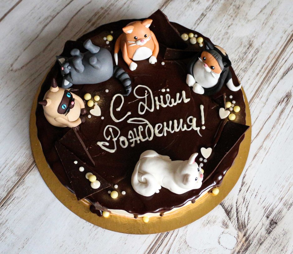 Торт на день рождения котик шоколадный
