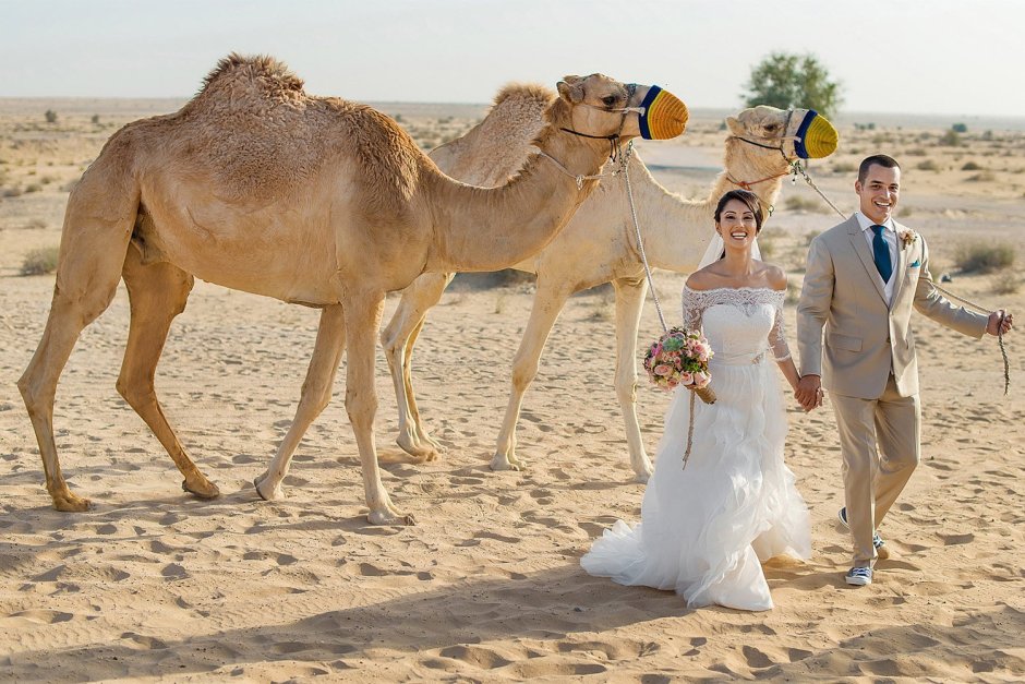 Свадьба шейха арабских Эмиратов