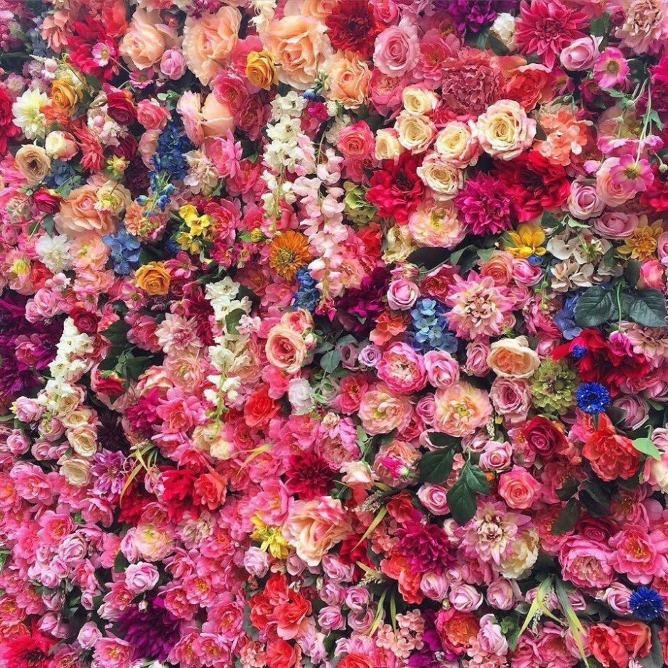 Много цветов