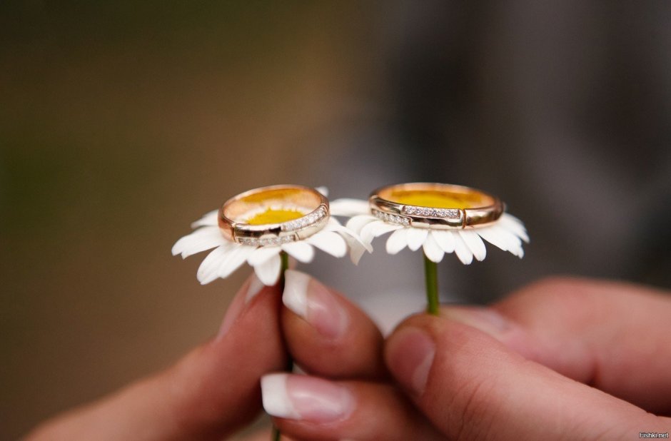 Цветы ромашки и свадебное кольцо