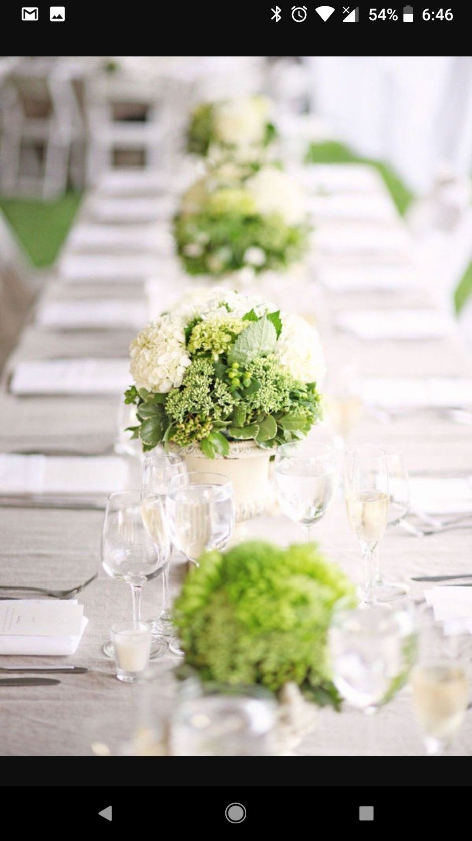 Бело зеленый стиль свадьбы