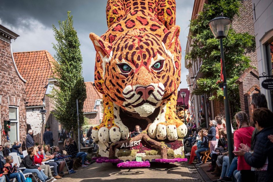 Парад цветов Bloemencorso в Голландии