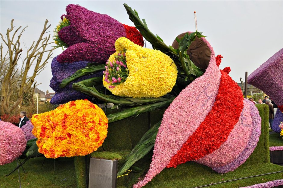 Парад цветов в Аалсмеере