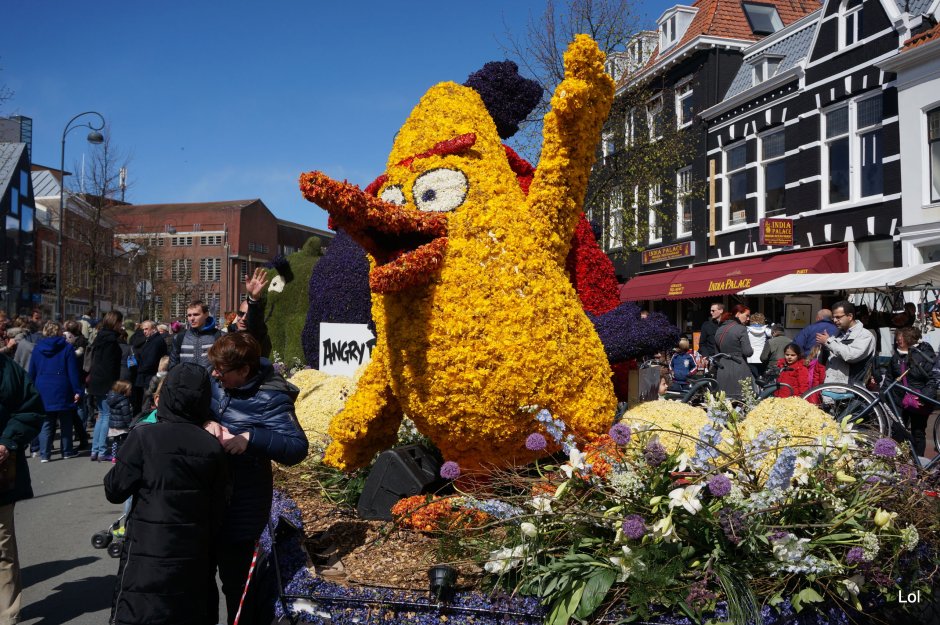 Конкурс цветов (Bloemencorso) в Нидерландах