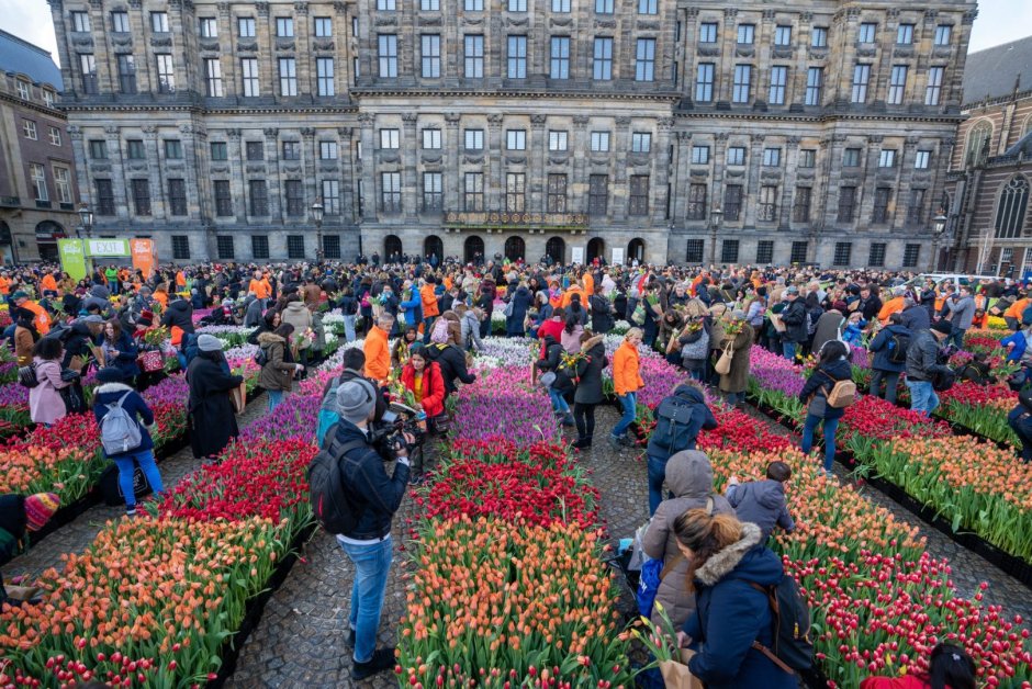 Фестиваль тюльпанов в Голландии