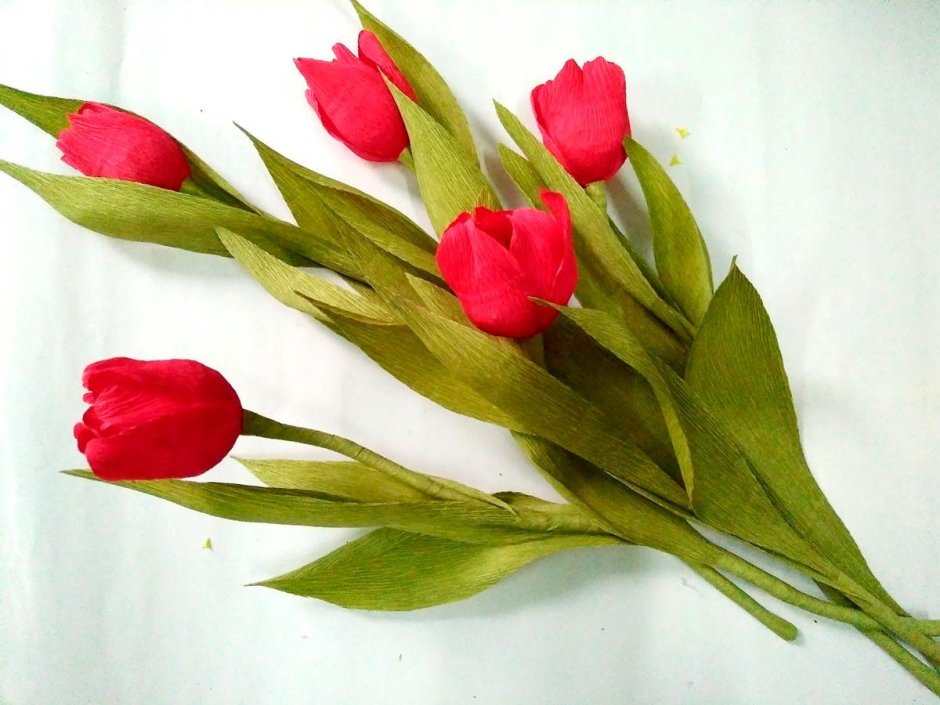 Тюльпаны из гофробумаги