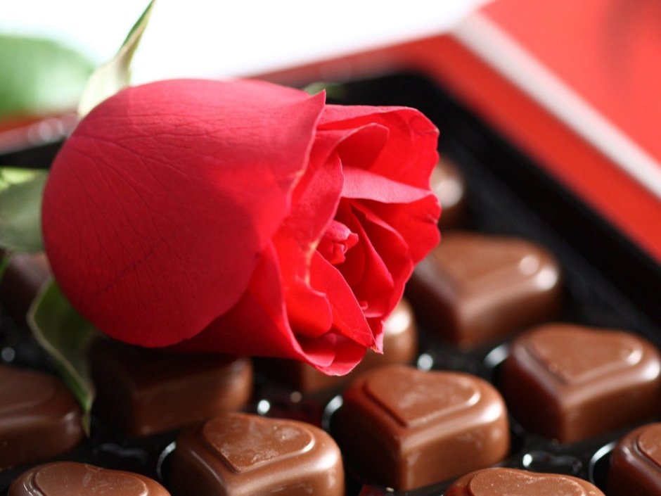 Конфеты шоколадные розы