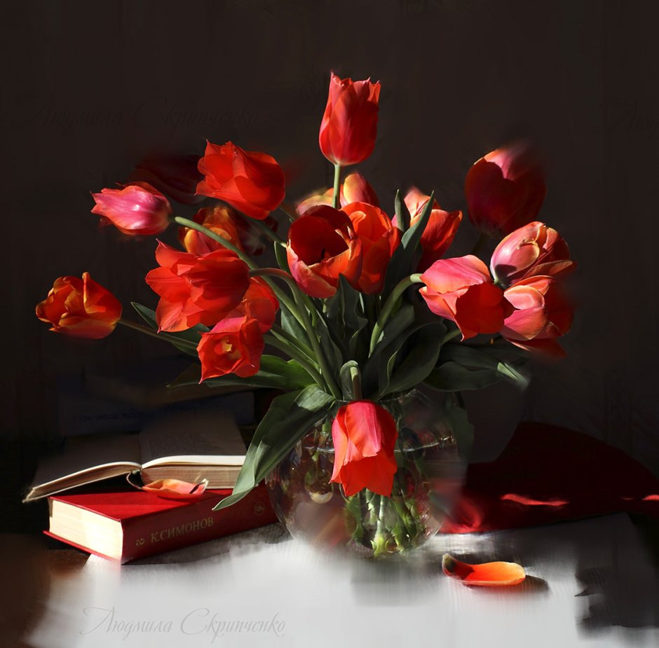 Красные тюльпаны натюрморт