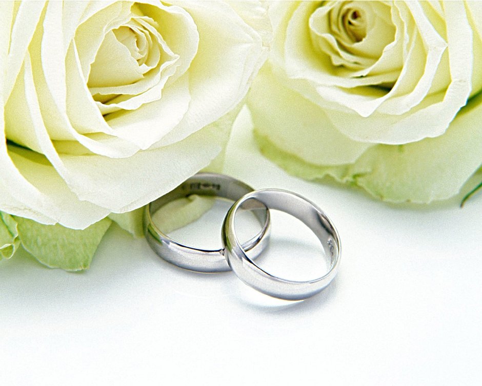 Цветы кольца свадьба