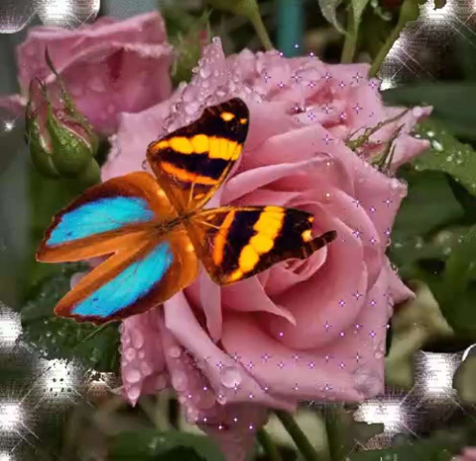 Цветы мерцающие с бабочками