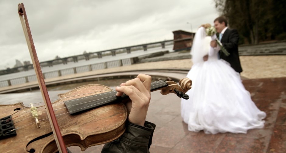 Скрипач на свадьбе