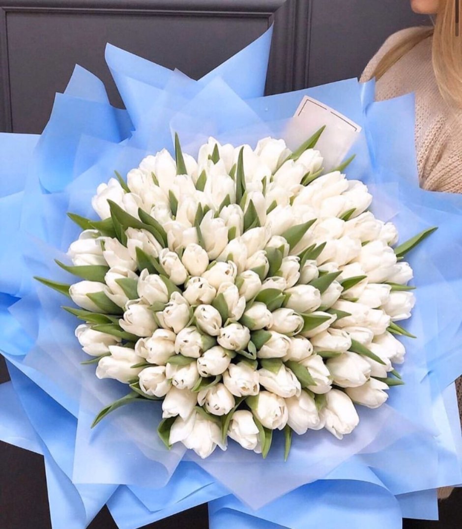 Большой букет белых тюльпанов