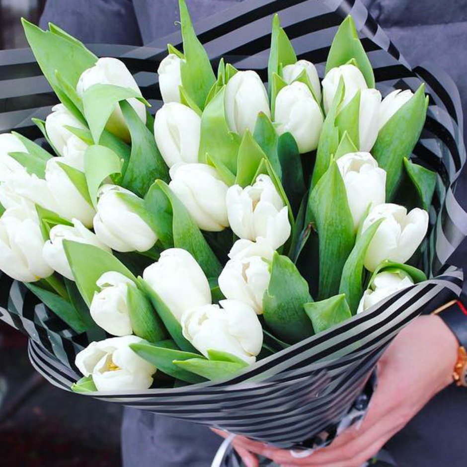 31 Белый тюльпан