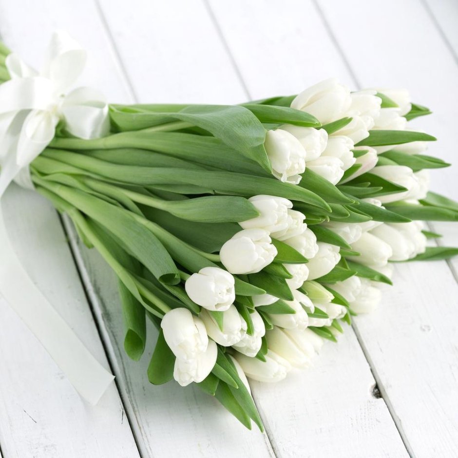 Монобукет тюльпаны белые