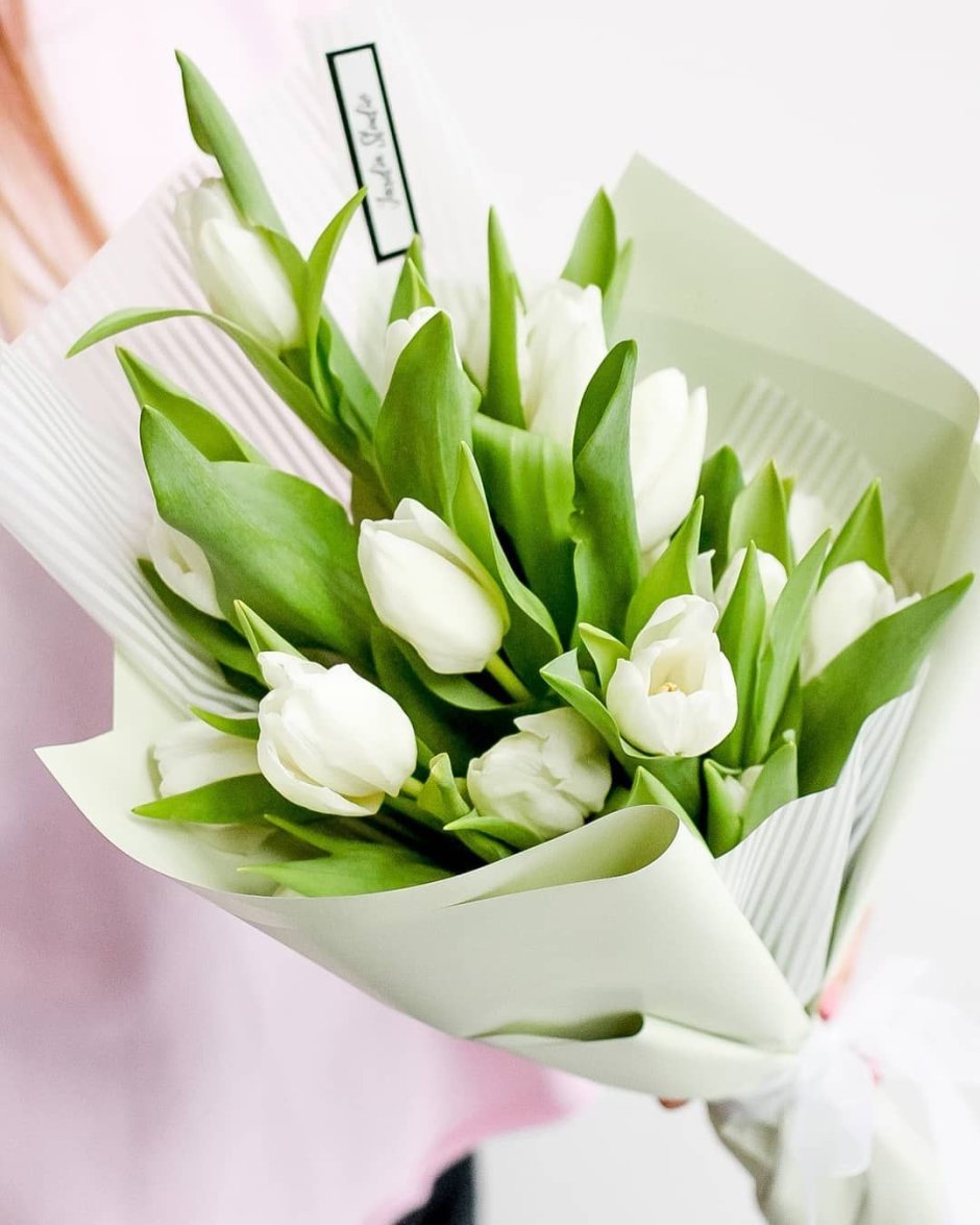 Белые тюльпаны, 25 тюльпанов