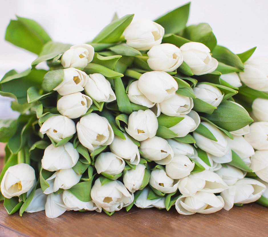 Монобукет тюльпаны белые