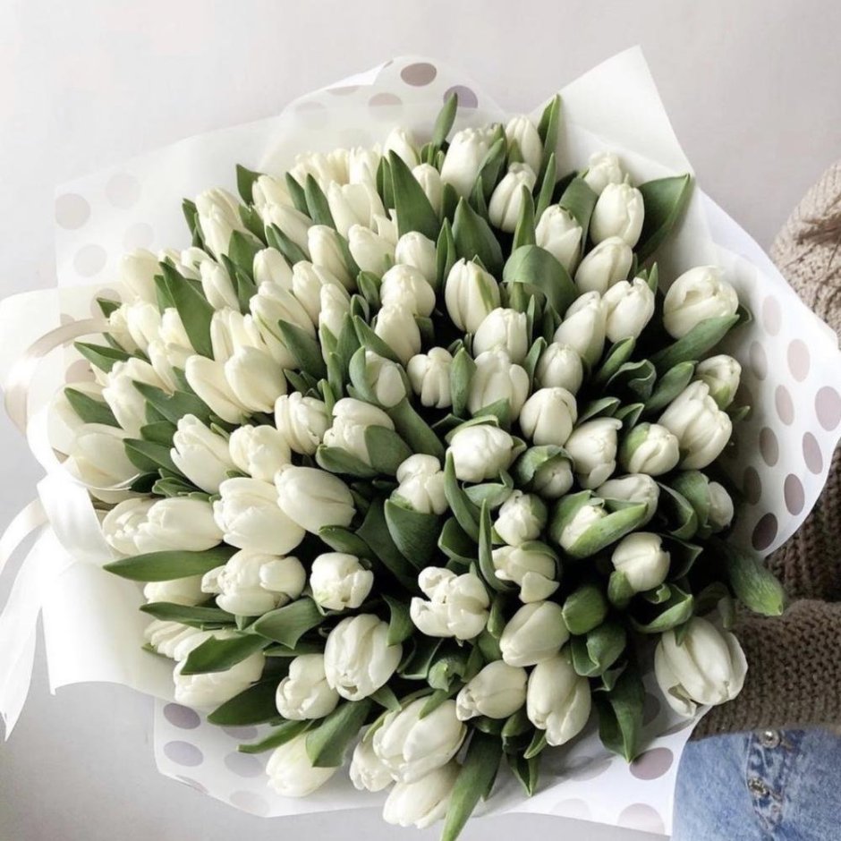 101 Белый пионовидный тюльпан