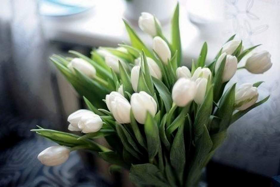 С 8 марта белые тюльпаны