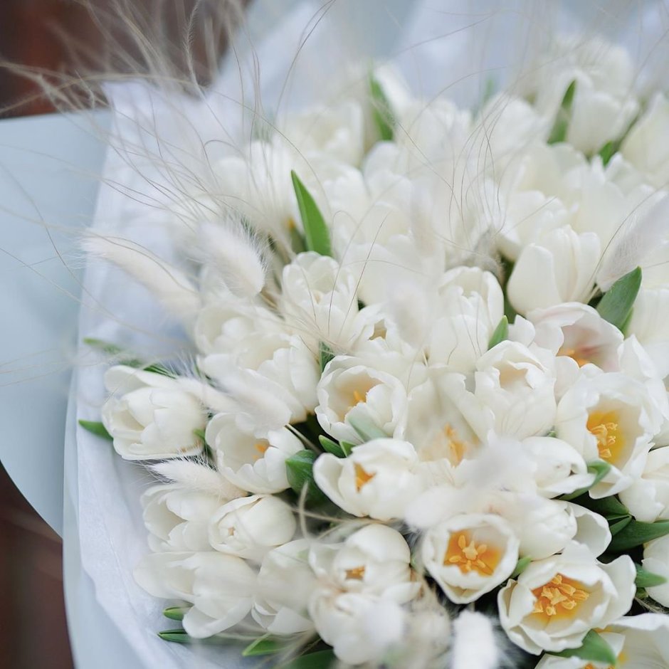 Красивый букет из белых махровых тюльпанов