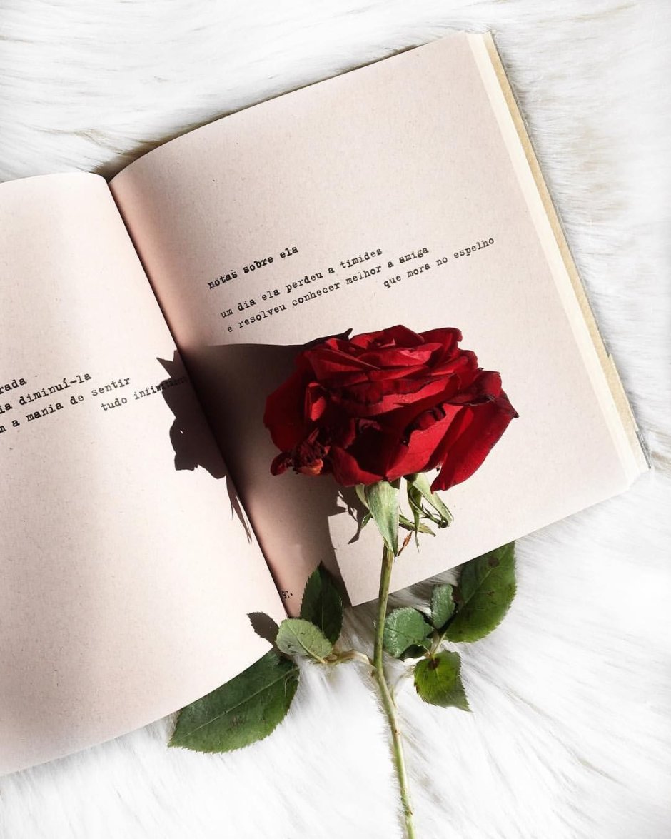 Красивые фразы про розы