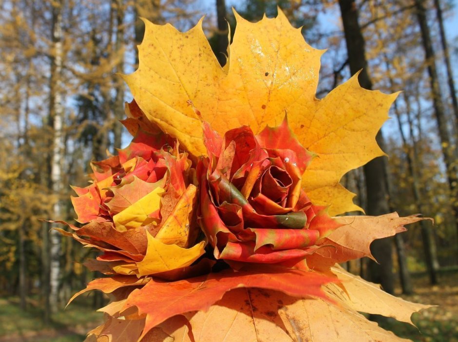 Осенний букет из кленовых листьев