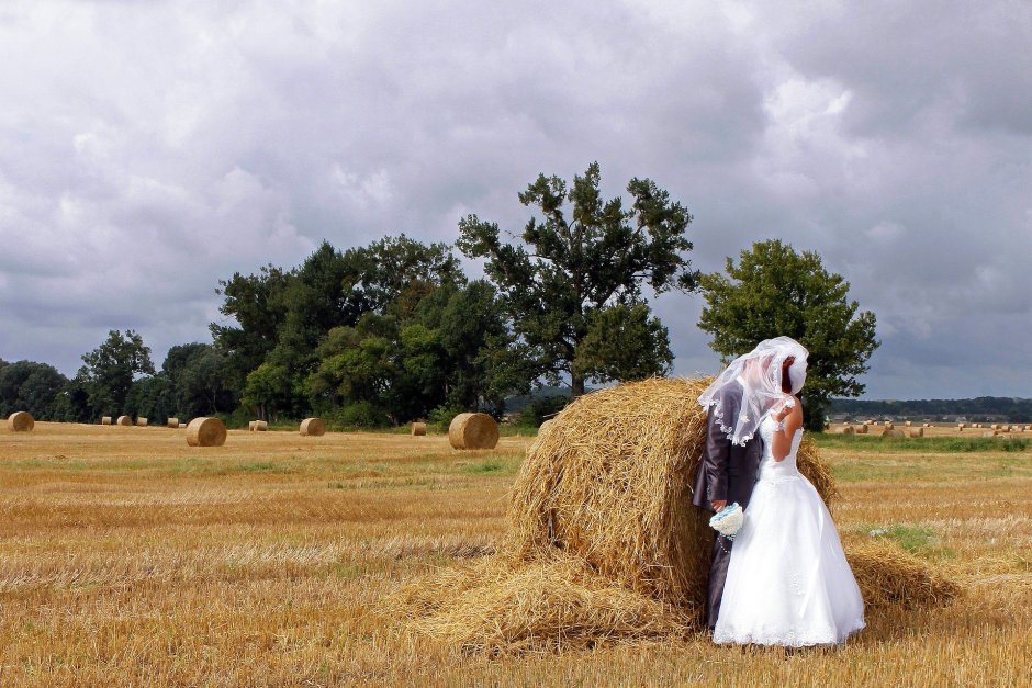 Деревенская свадьба в поле