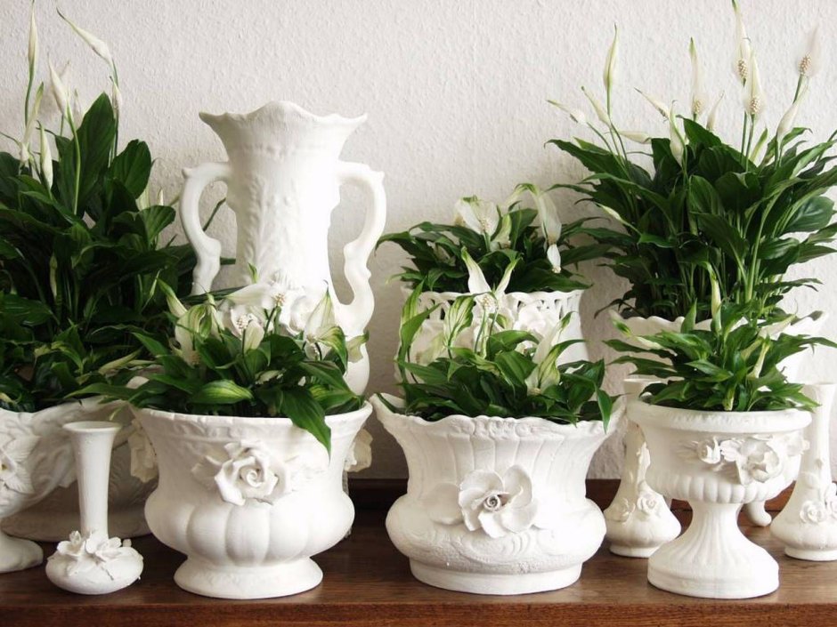 Красивые керамические горшки для комнатных растений