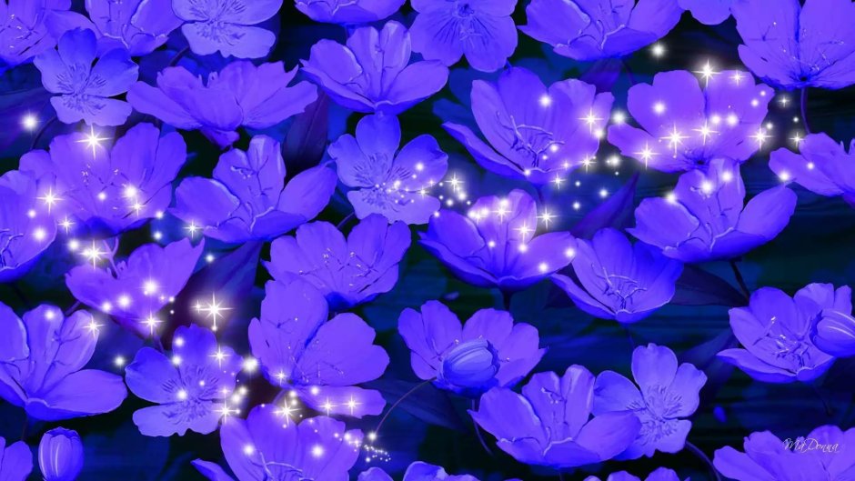 Сине фиолетовые цветы